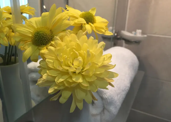 شقة فندقية غوجي