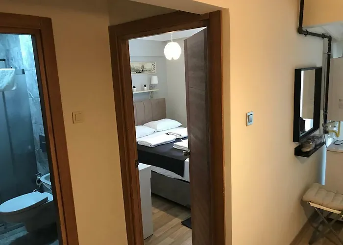 غوجي اسطنبول