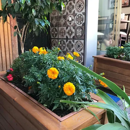 Hotel apartamentowy Goji's 4*