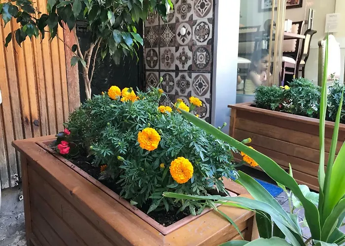 Aparthotel Goji's 4*